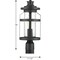 Progress Lighting Haslett Collection One-Light Post Lantern P540031-031 - alternate 4